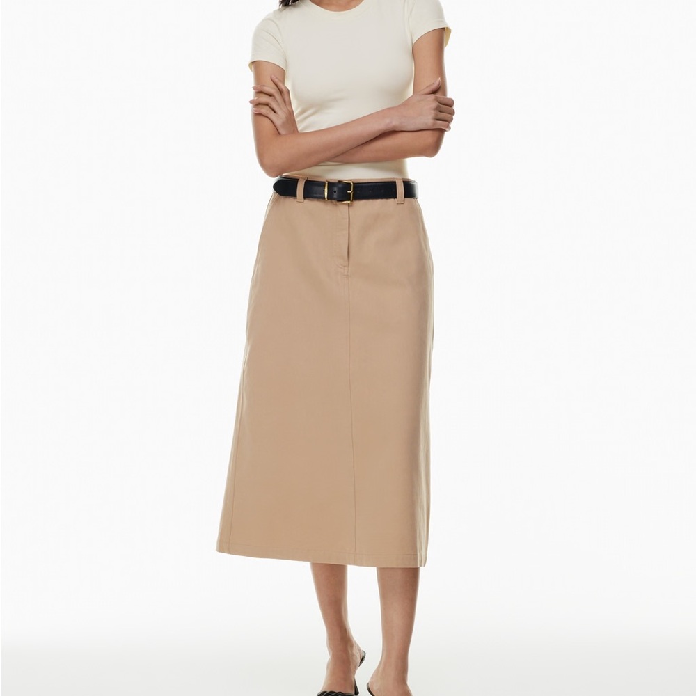 Aritzia- Sunday Best skirt